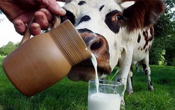Украина на пороге молочного бунта