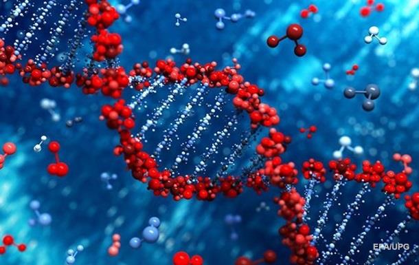 В Японії дозволили змінювати ДНК ембріонів людини