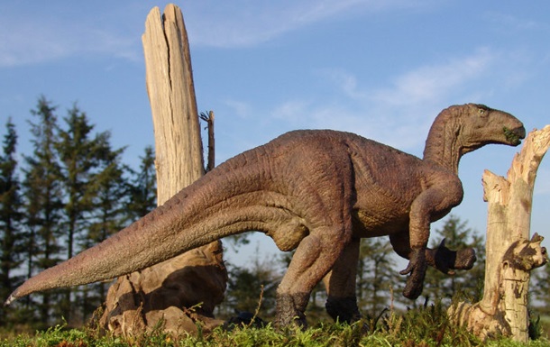 В Китае нашли кости динозавра, которым более 100 миллионов лет
