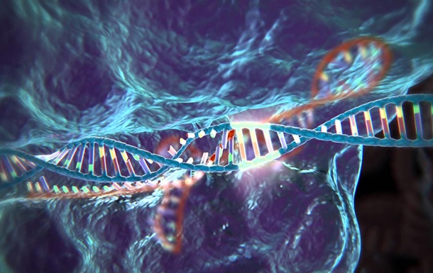 В США впервые одобрили генетический эксперимент на людях
