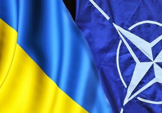 О членстве Украины в НАТО: много шума из нечего