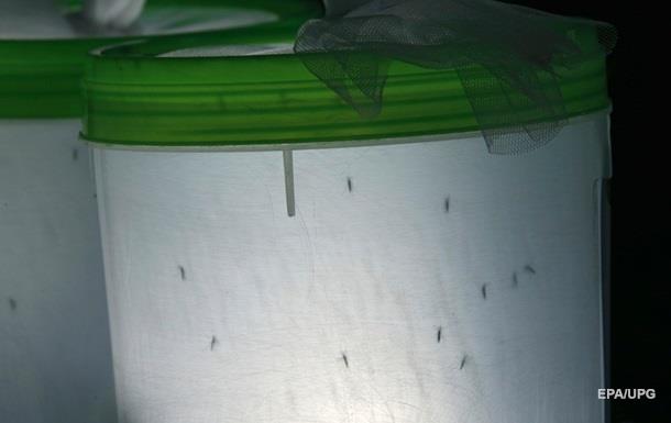 В Швеции прошли соревнования по ловле комаров