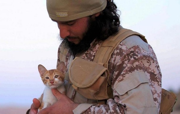 Бойовики ІДІЛ взяли на озброєння кошенят - ЗМІ