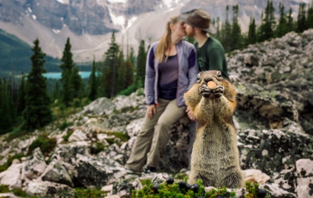 У Канаді білка зіпсувала закоханим фотосесію