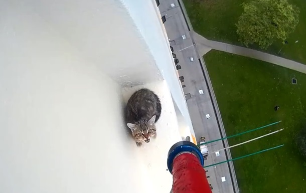 Спасение крошечного котенка с высотки тронуло сеть