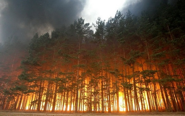 На Донбасі згоріли більше третини заповідників - екологи