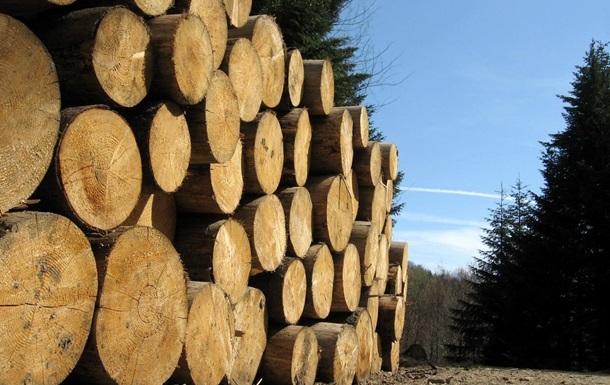Національні інтереси в розвитку деревообробної промисловості 