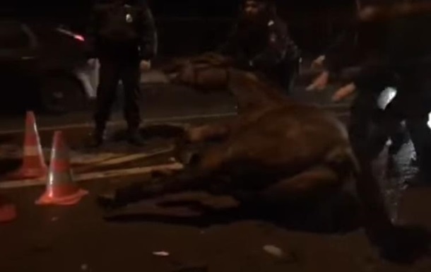 У Москві водій збив поліцейського на коні
