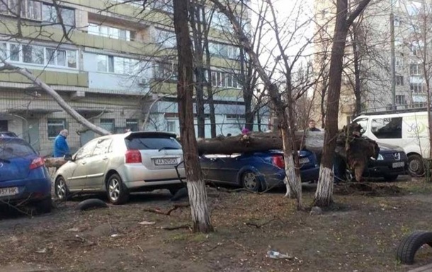 У Києві дерево, що впало, розбило автомобілі