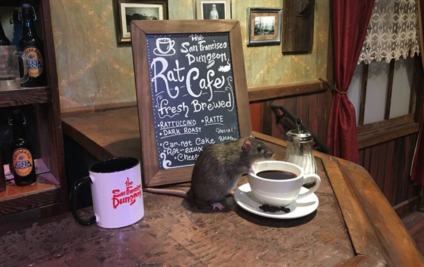 Кава в компанії щурів: у США відкрили нове кафе