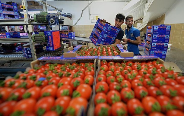Турция нарастила экспорт помидоров на 54%