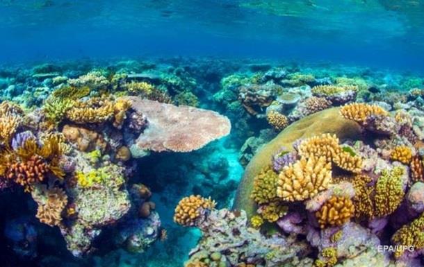 Експерти назвали вартість Великого Бар єрного рифу