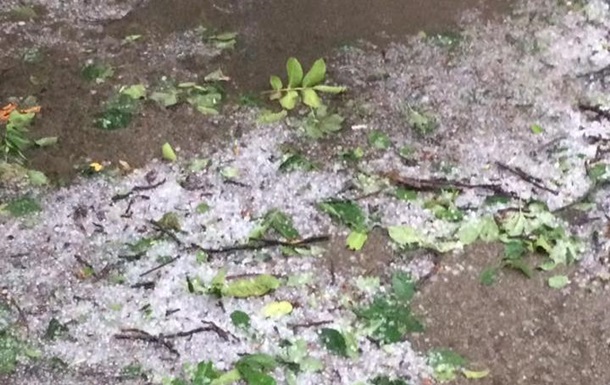 Поваленные деревья и затопленные улицы: непогода в Каменец-Подольском