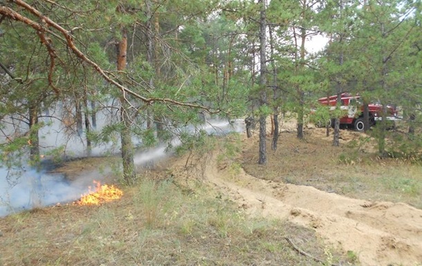 На Херсонщині гасять масштабну лісову пожежу