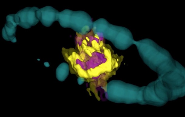 Недра взорвавшейся сверхновой звезды воссоздали на видео