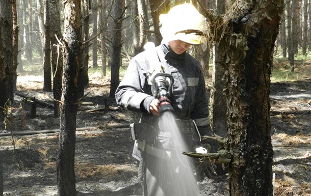 На Херсонщине масштабный лесной пожар