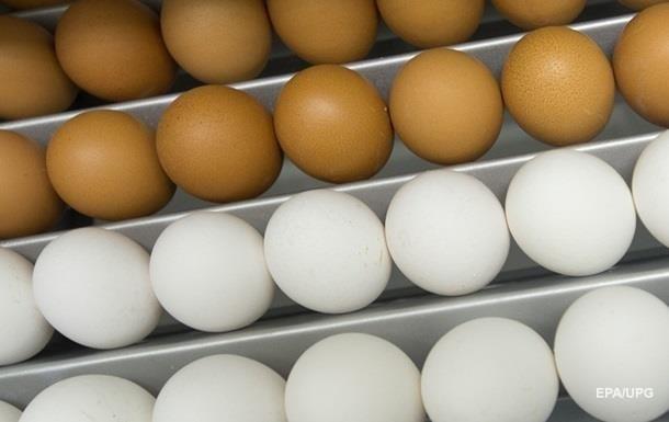 У Румунії виявили тонну заражених яєць