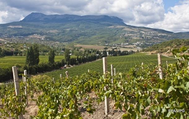 Через сходження селів у Криму постраждали виноградники Массандри