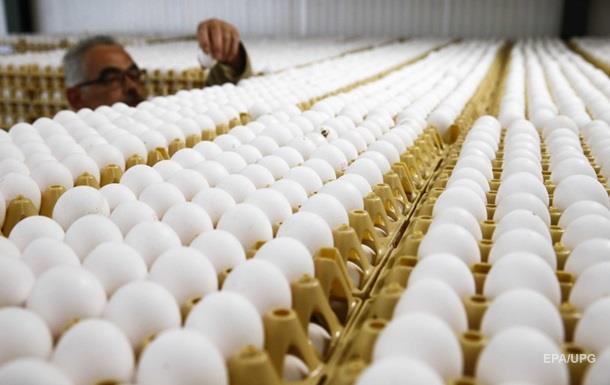 Яйця з токсинами виявили в 45 країнах світу