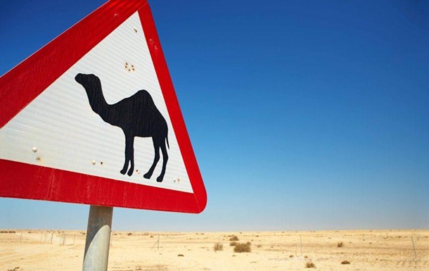 У Казахстані джип врізався у верблюда: п ятеро загиблих