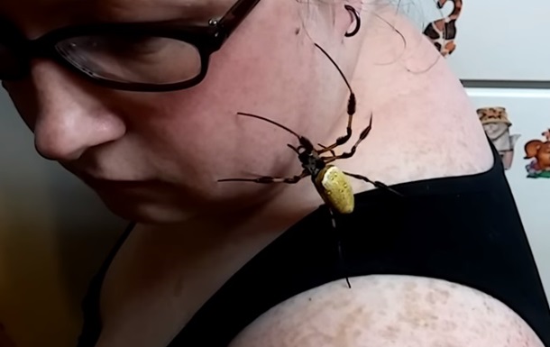 Гигантский паук прополз по лицу женщины