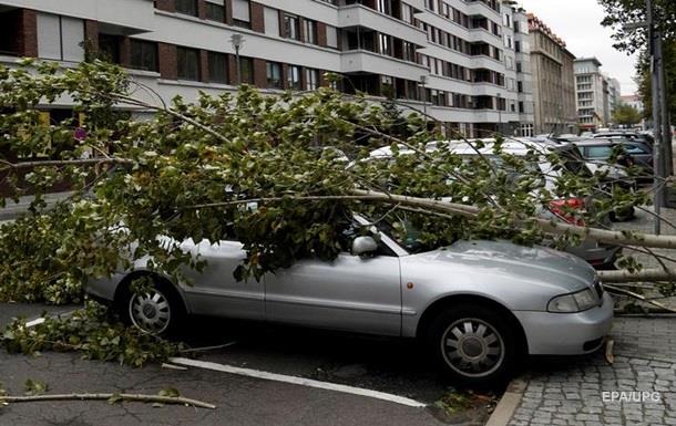 В Германии ураган унес жизни как минимум семи человек