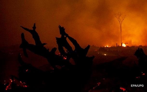 У Каліфорнії зростає кількість жертв лісових пожеж