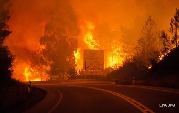 Лесные пожары в Португалии: число жертв возросло до 35