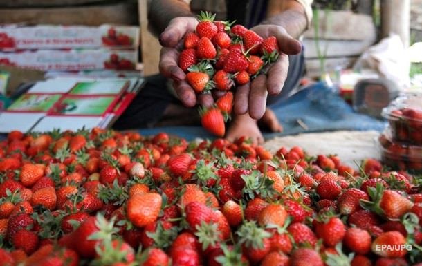 Украина за пять лет утроила экспорт ягод в ЕС