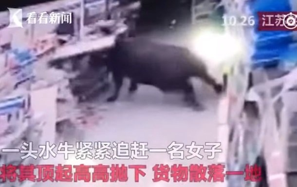 В Китае разъяренный буйвол разгромил супермаркет