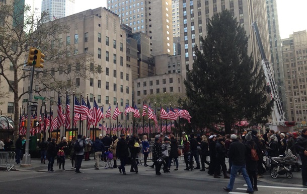 Главную рождественскую елку установили в Нью-Йорке 