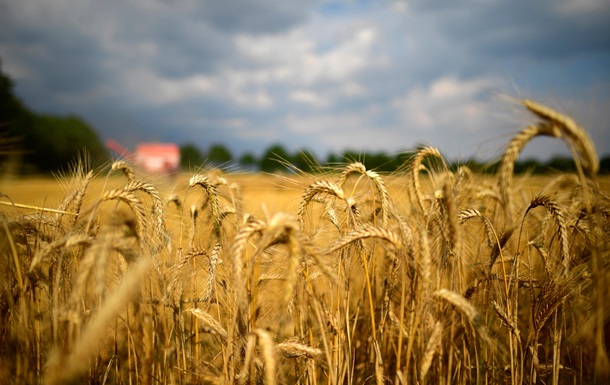 В Украине собрали 58 млн тонн зерновых