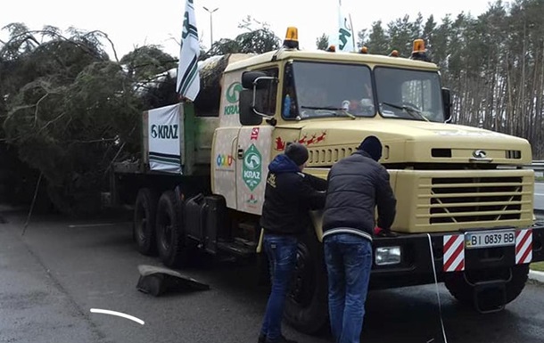 В Киев привезли главную елку страны