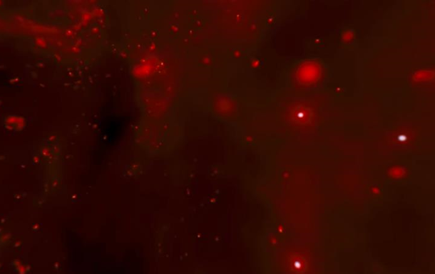 NASA показало панорамне відео з центру Чумацького Шляху