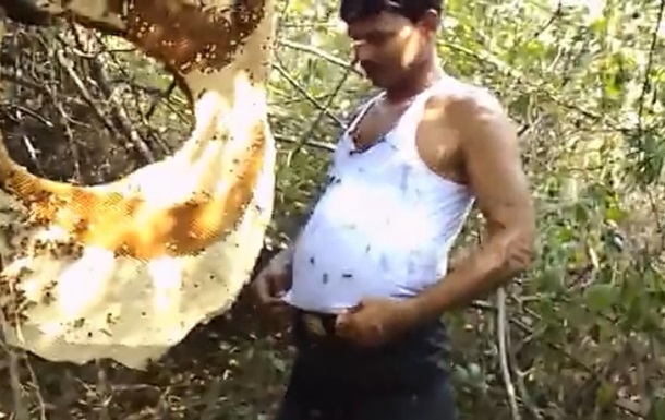 Індієць заганяє під майку сотні бджіл