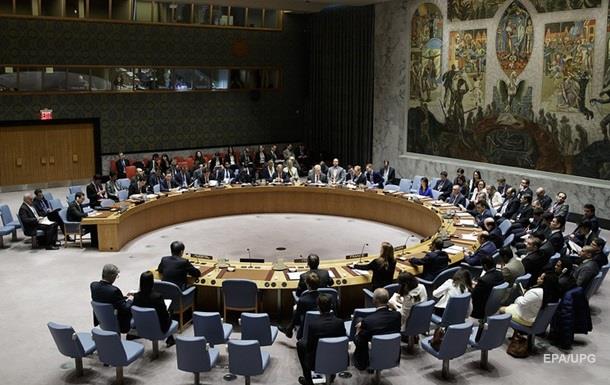 Туреччина в Сирії: Франція просить скликати Раду безпеки ООН