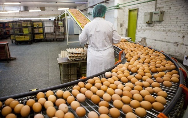 Україна увійшла в топ-10 виробників яєць у світі