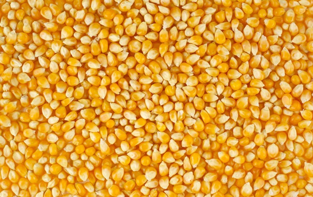 Китай начал покупать кукурузу в Украине вместо США - СМИ