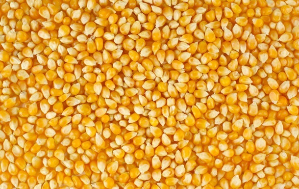 Україна збільшила експорт кукурудзи в Китай майже втричі