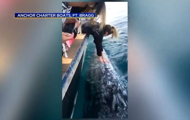 В США туристы погладили кита ради селфи