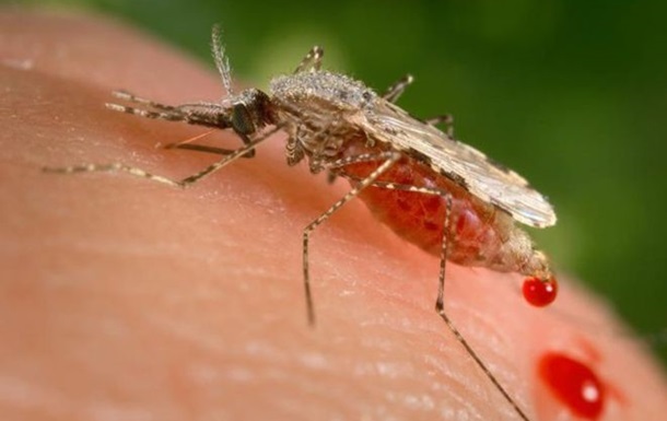 У Харківській області зафіксували малярію