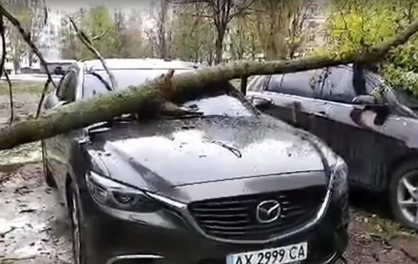 У Харкові, впавши на авто, дерево ледь не вбило людину