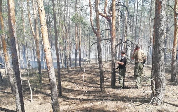 У Луганській області горить п ять гектарів лісу