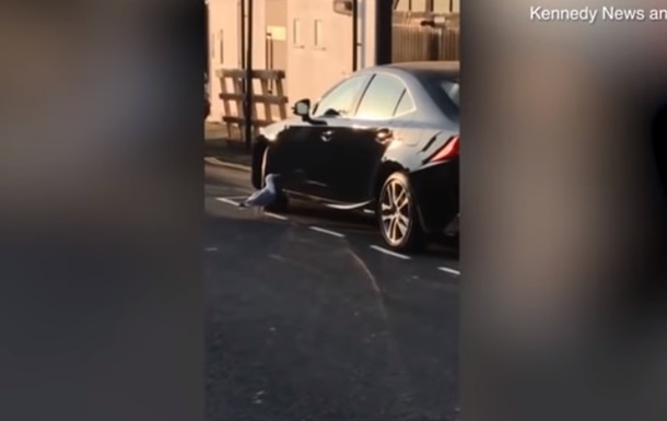 Чайку, що атакувала люксове авто, зняли на відео