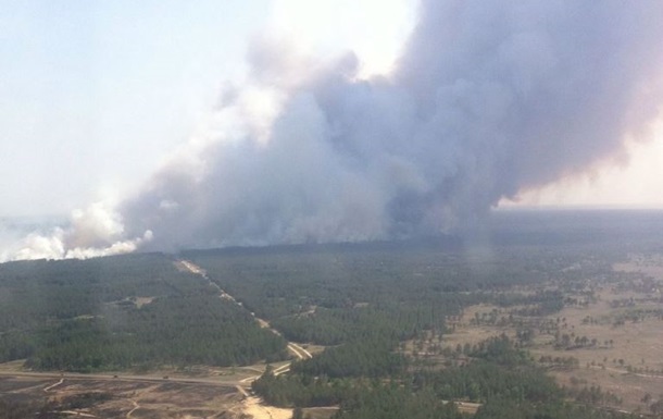 Тушение лесного пожара на Херсонщине приостановлено до утра