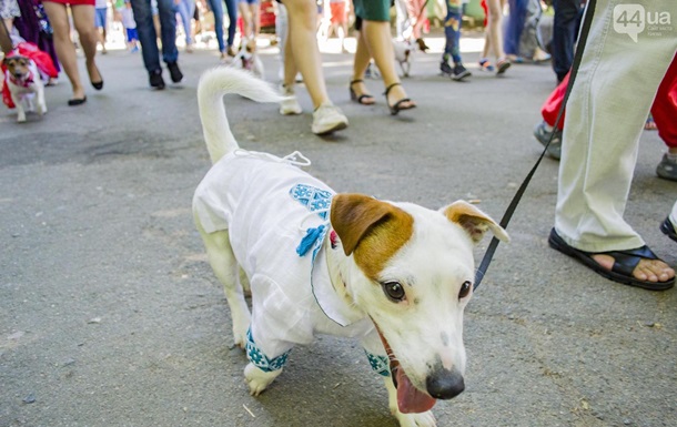 У центрі Києва відбувся парад собак