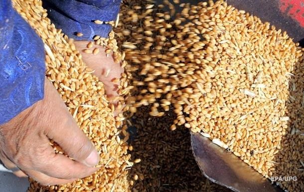 Обсяг світової торгівлі пшеницею досягне рекорду