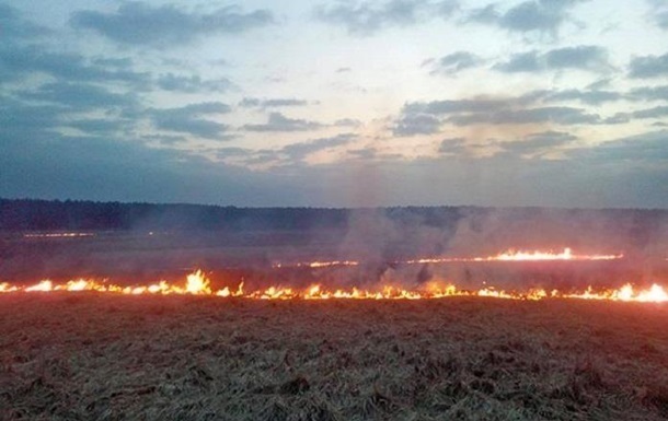 У Херсонській області згоріло 170 гектарів пшениці