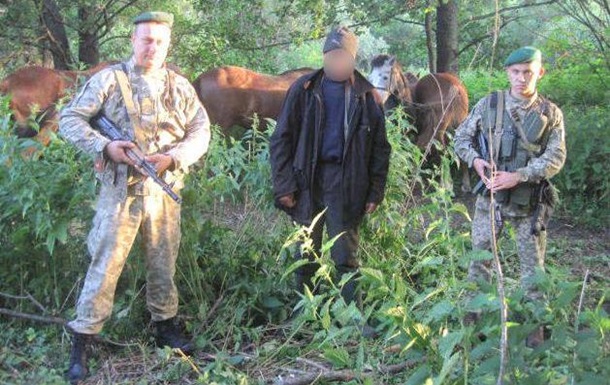 Украинец пытался незаконно вывезти в Россию лошадей