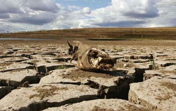 Без води з Дніпра. Наслідки посухи в Криму